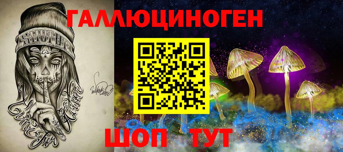 Псилоцибиновые грибы Psilocybe Североморск
