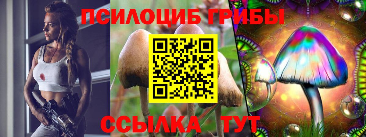 Североморск  Псилоцибиновые грибы прущие грибы  Псилоцибиновые грибы прущие грибы  Вход с VPN 